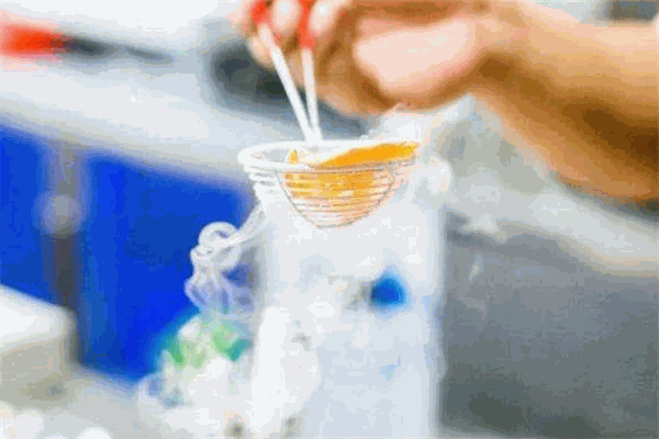 历美多分子冰淇淋