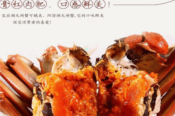 宝应湖大闸蟹加盟