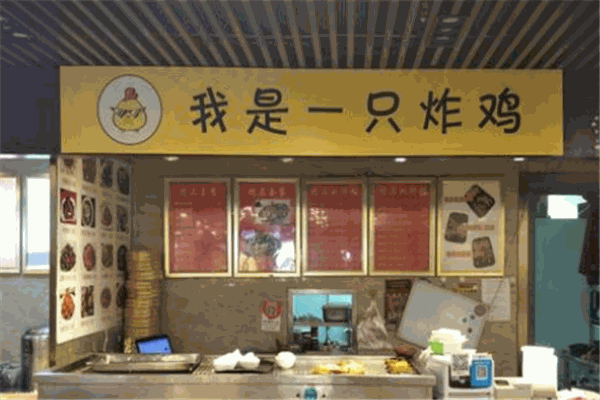 我是一只炸鸡