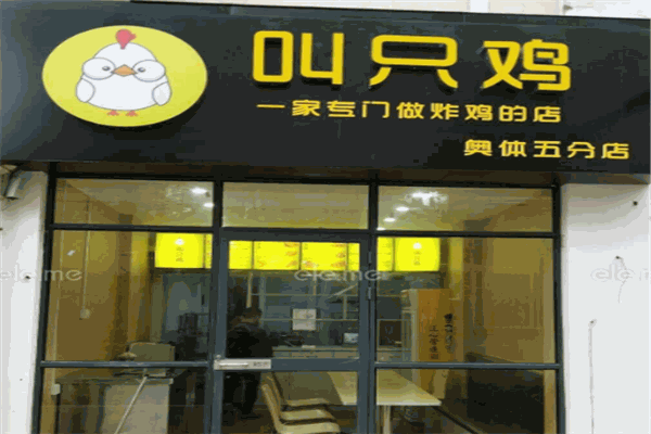 我是一只炸鸡