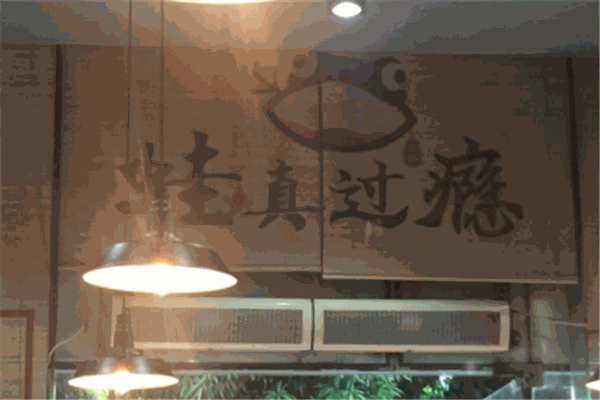 蛙真过瘾