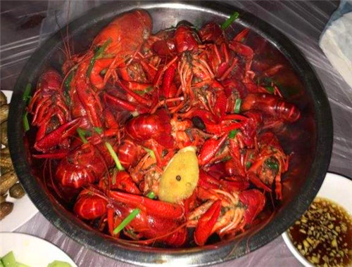 高邮湖清水龙虾