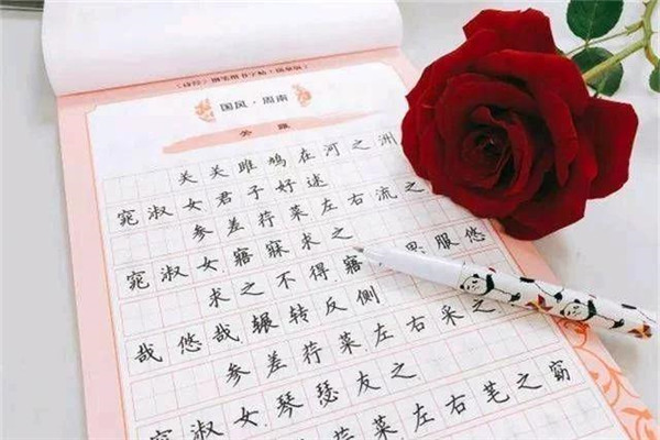 国锋新理念练字学堂