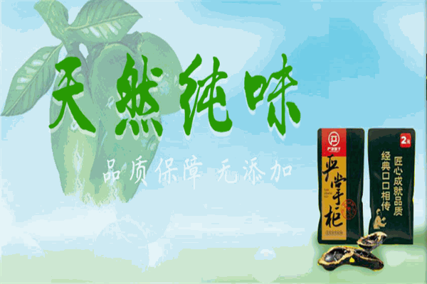 严家铺子