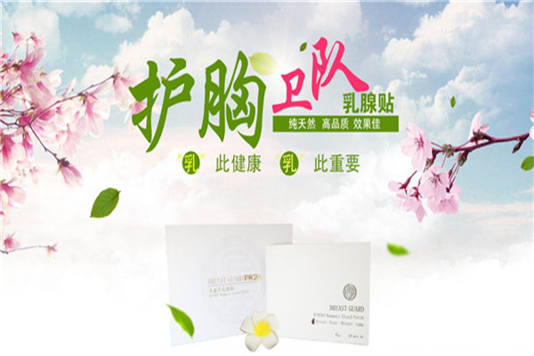 护胸卫队加盟
