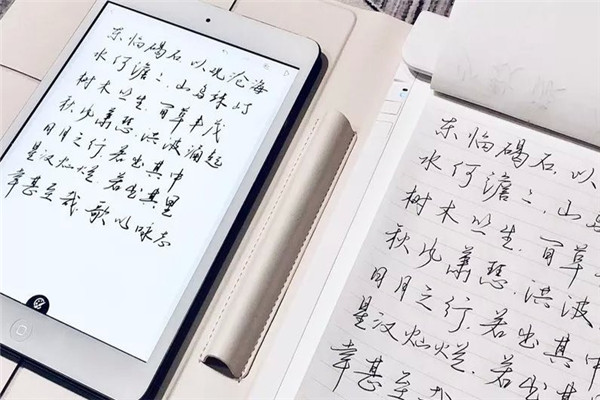 晨曦中新格练字加盟