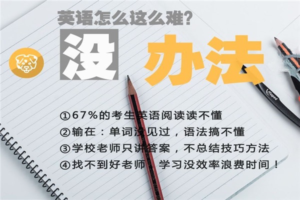 新高度英语加盟