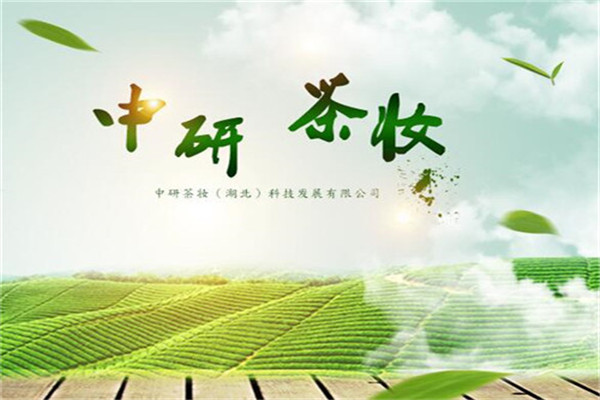 中研茶妆加盟