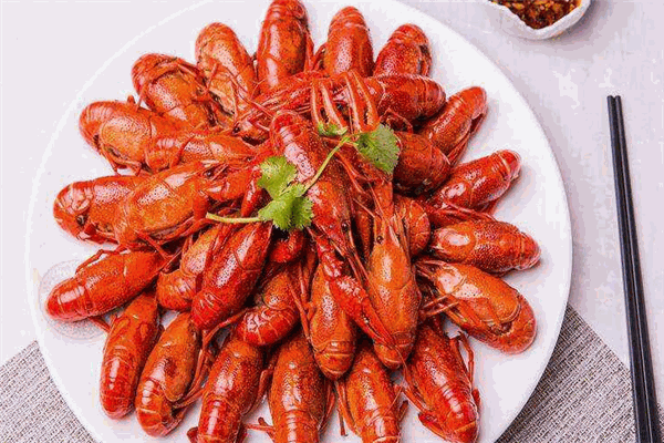 KickingLobster会踢的龙虾