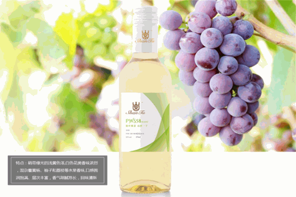 山图酒业