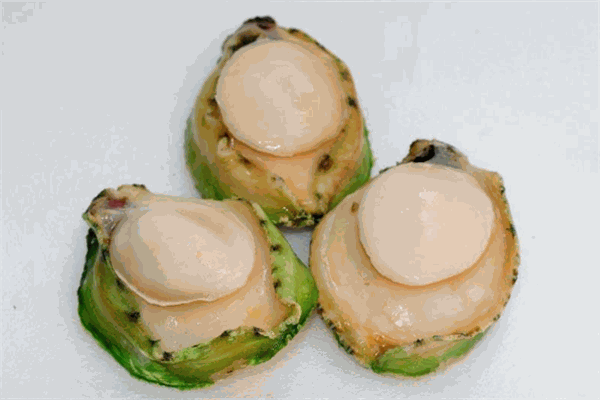 海味轩青边鲍鱼