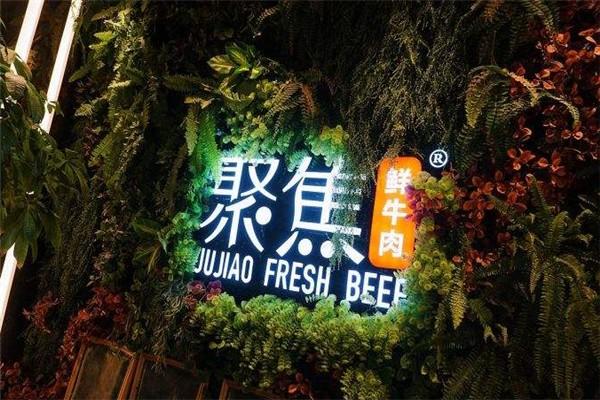 聚焦鲜牛肉潮汕火锅