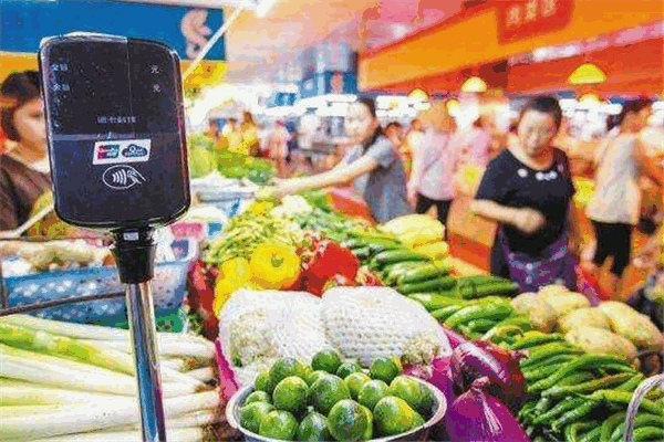 菜老包