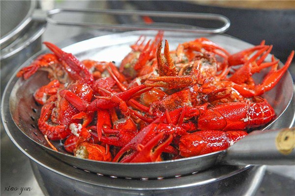 煌飛红小龙虾