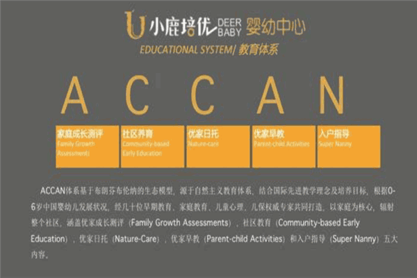 小鹿培优