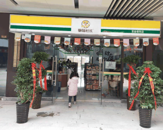懒猫社长便利店