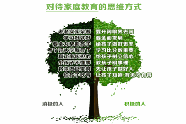 树心人家庭教育