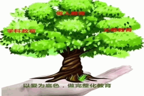 爱能家庭教育