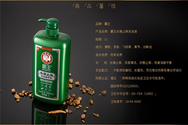 霸王洗发水加盟