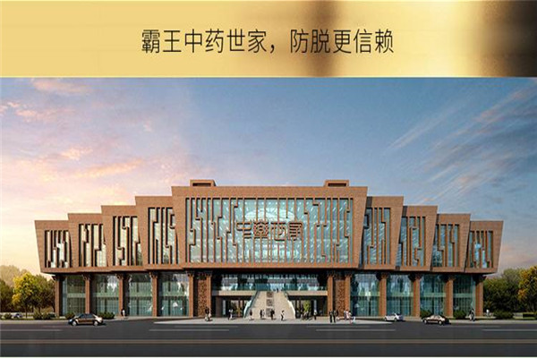 霸王洗发水加盟