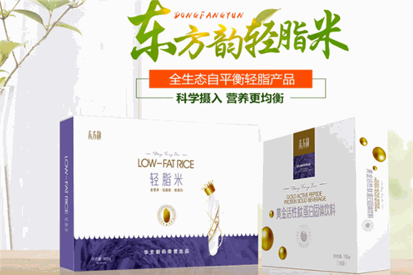 东方韵轻脂米加盟