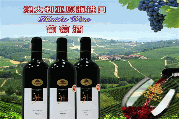 堡莱皇红酒