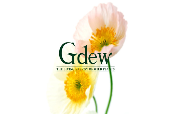 gdew护肤品加盟