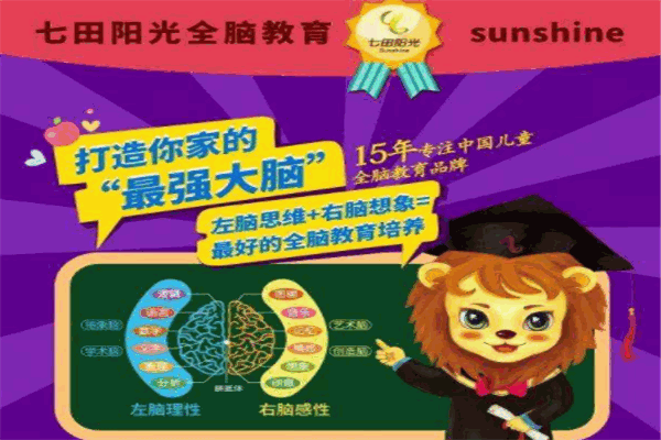 阳光全脑教育