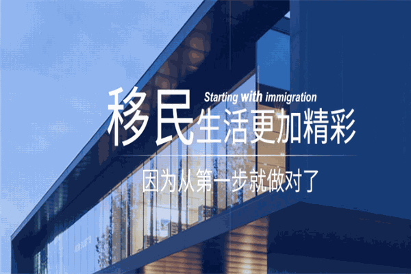 兆龙出入境