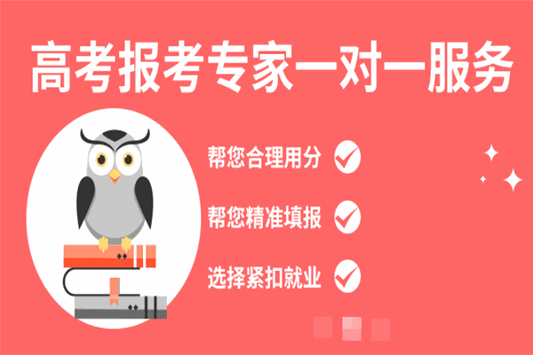 学果果教育
