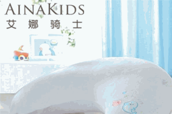 艾娜骑士
