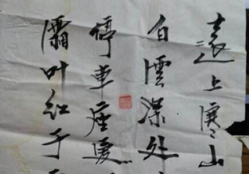 田野书法加盟