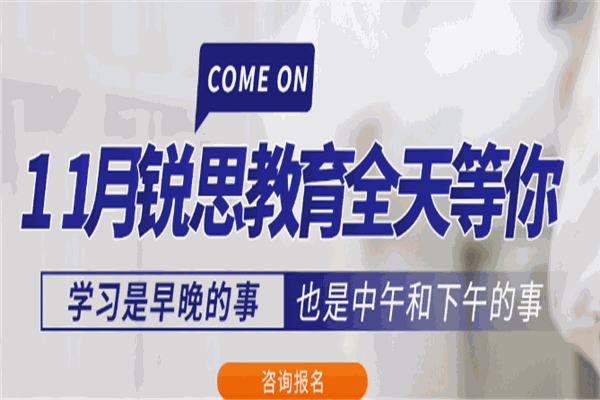 锐思教育