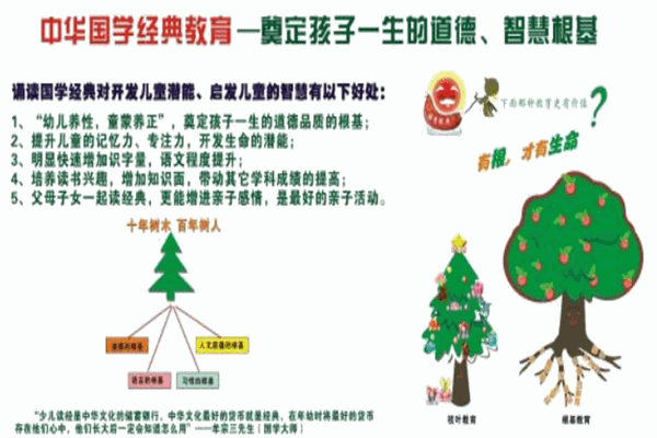 365阳光在线教育