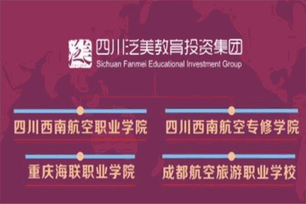 泛美教育