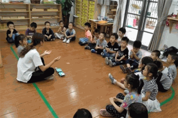 自然树国际教育