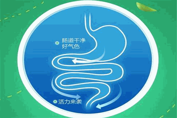 爱益邦益生菌