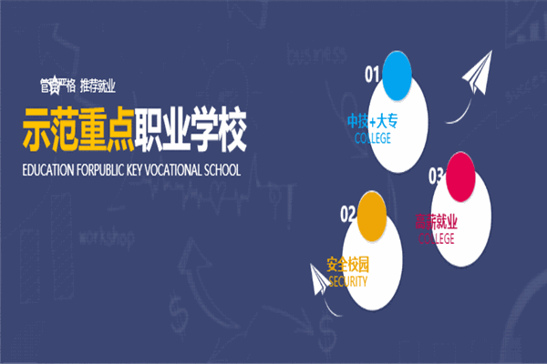 通才教育