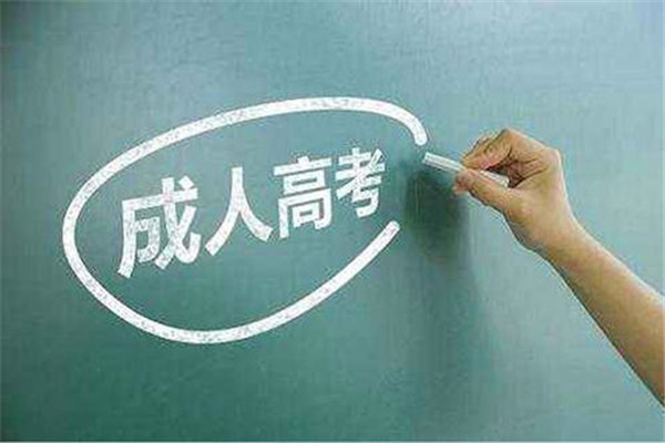 博程教育