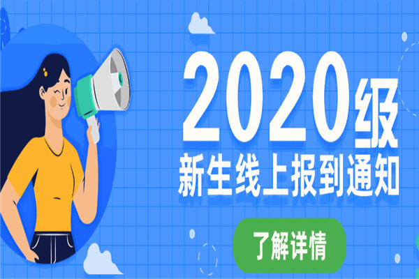 通才教育