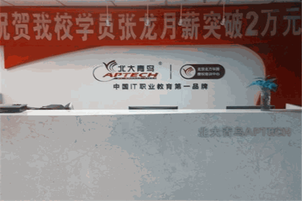 北大青鸟国际教育