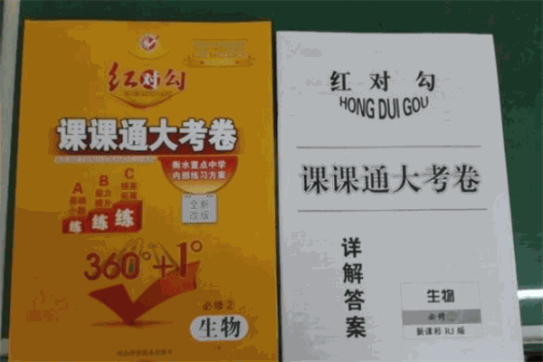 红对勾教育