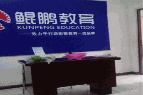 鲲鹏教育