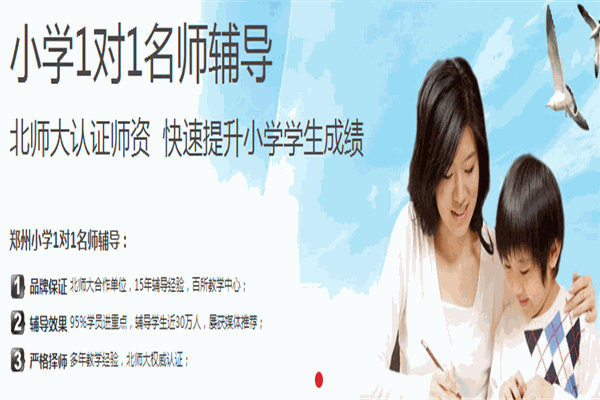 引领教育
