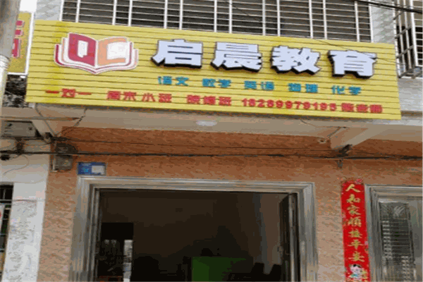 启晨教育