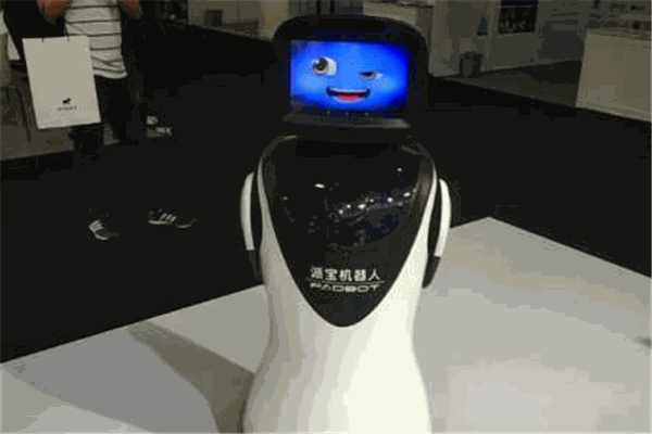 派宝机器人