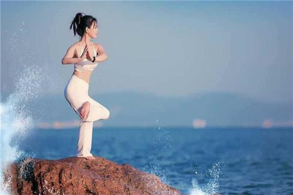 阿努萨拉瑜伽加盟