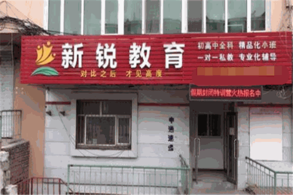 新锐教育