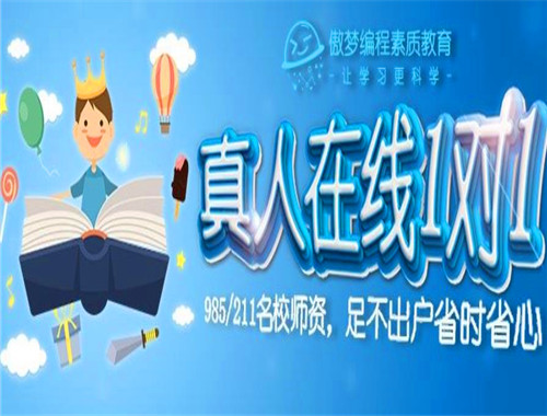 傲梦编程素质教育