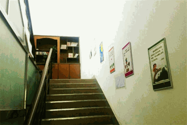 点津教育